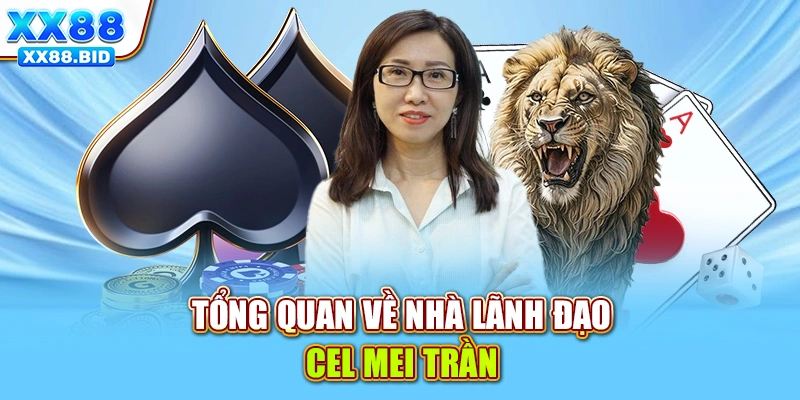 Tổng quan về nhà lãnh đạo CEO Mei Trần