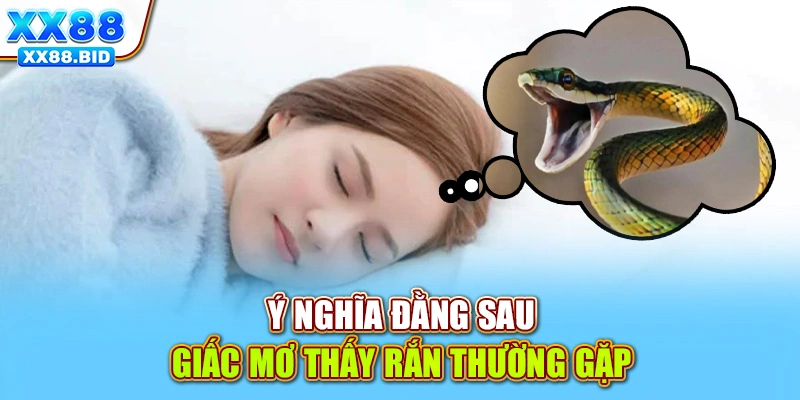 Ý nghĩa nghĩ nằm mơ rắn bò vào trong nhà